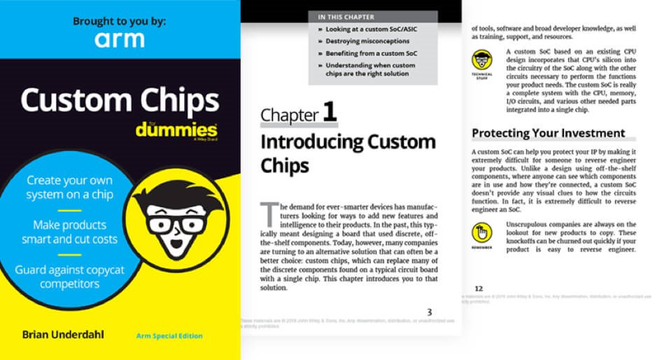 Custom Chips for Dummies Guide