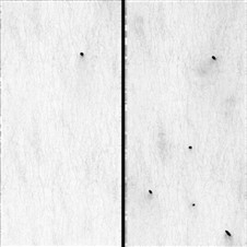 Bark normal map used to add surface detail to a Nanite tree trunk.