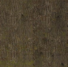 Bark texture map used for a high-detail Nanite tree trunk.