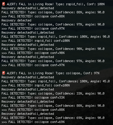 Fall detected alert with confidence score