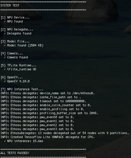 Vela compilation output showing operator delegation.