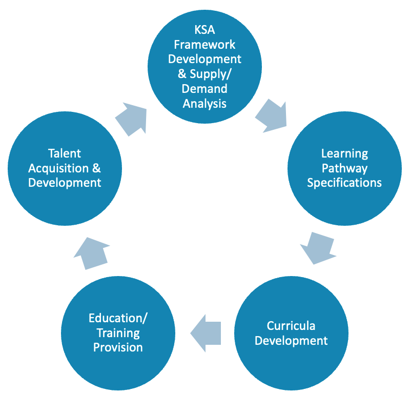  Circular model of accelerated and agile skills provision