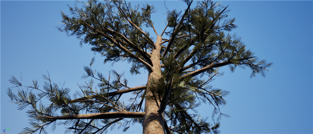 Original tree canopy rendered without Nanite, used as a visual quality baseline.