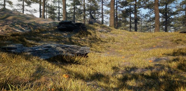Nanite-enhanced forest terrain showing detailed grass, rocks, and ground geometry.