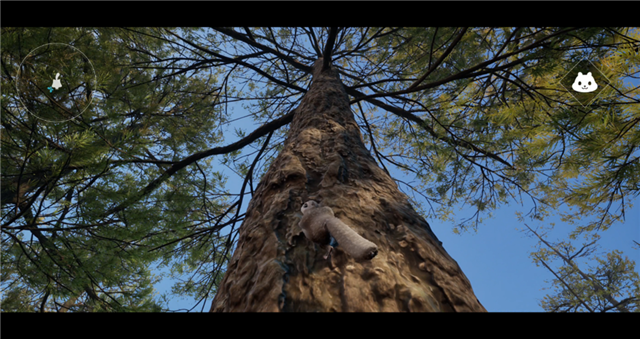Upward view of a Nanite-enhanced pine tree showing detailed bark, branches, and foliage.