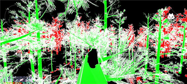 Nanite Overdraw visualization highlighting costly foliage and vegetation in a forest scene.