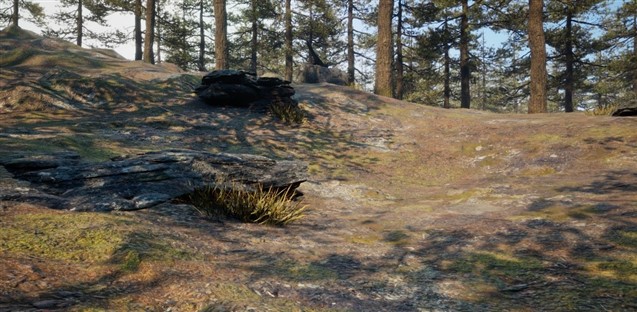 Original terrain rendered without Nanite, used as a visual quality baseline.