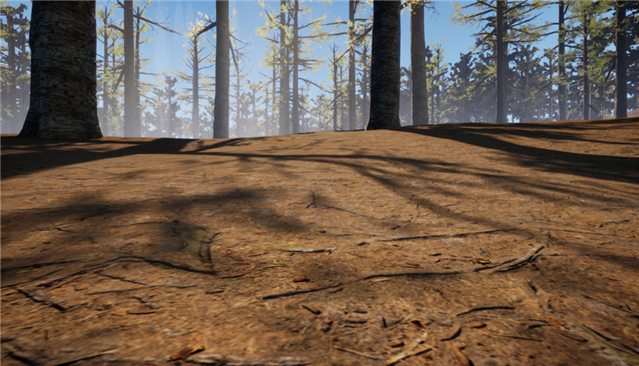 Original terrain rendered without Nanite, used as a visual quality baseline.