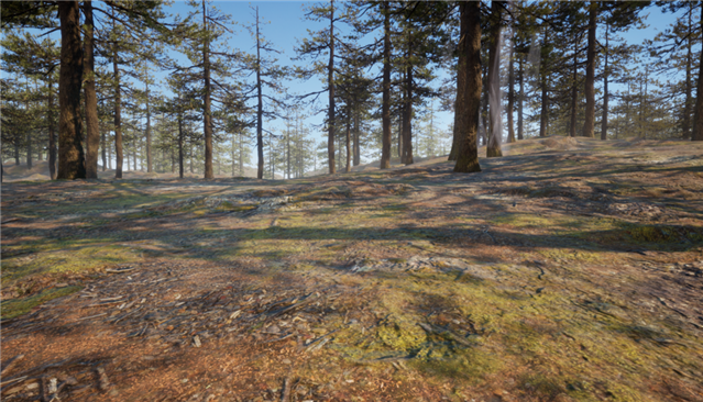 Nanite-enhanced terrain showcasing detailed ground geometry in the Mori forest scene.