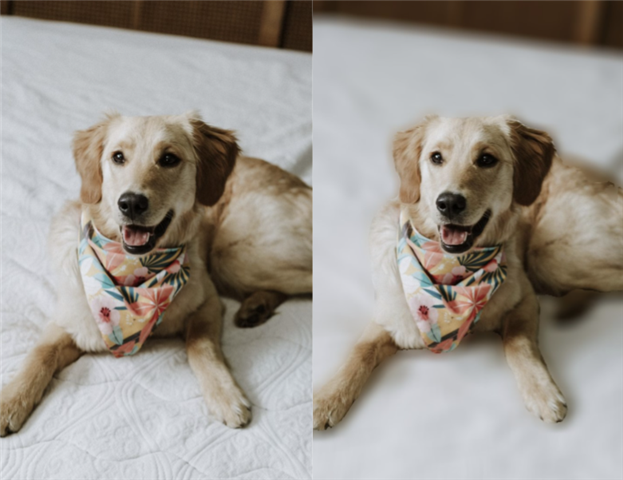 Photo before and after background blur
