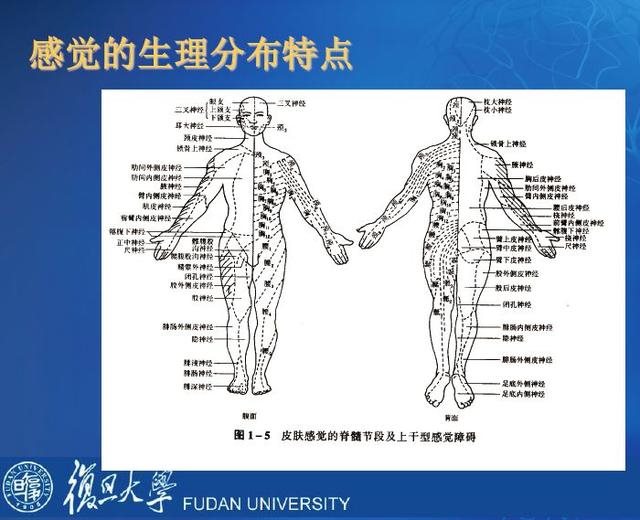 缅甸维加斯点击部电话 中文社区论区 中文社区 Arm Community