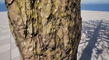 Close-up of a high-detail Nanite tree trunk showing bark texture and geometric detail.