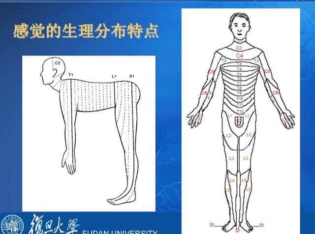 缅甸维加斯点击部电话 中文社区论区 中文社区 Arm Community