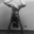 Ricardo Yoga