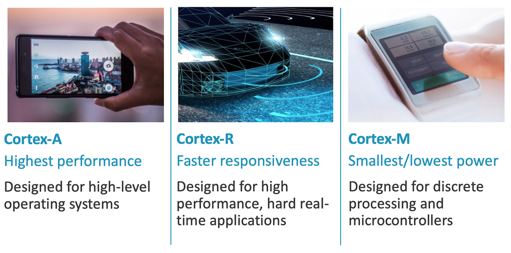 Cortex processor portfolio