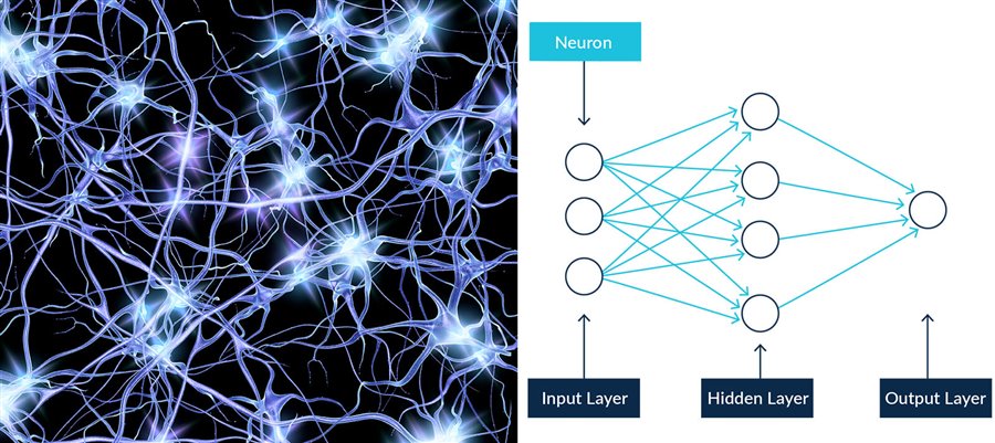 neural network vs artificial neural network